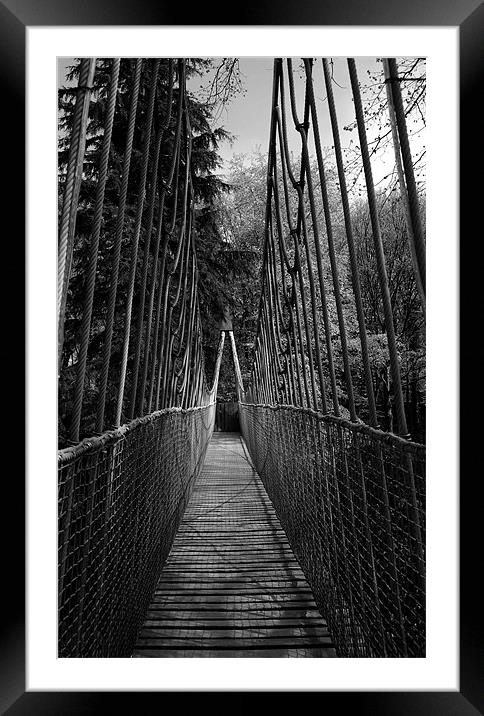 Alnwick Garden Suspension Bridge  Framed Mounted Print by Jacqui Farrell