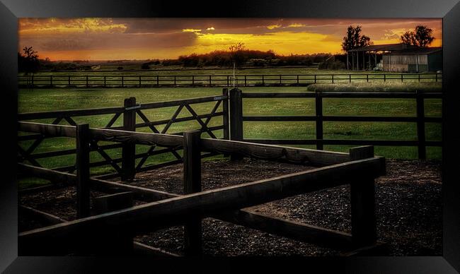 Serene Sunset Over Coveney Farm Framed Print by Jacqui Farrell
