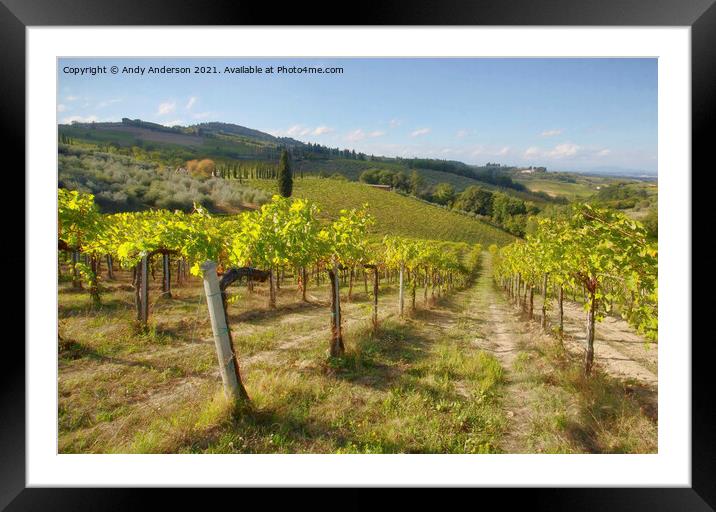 Tuscan Vineyard Framed Mounted Print by Andy Anderson