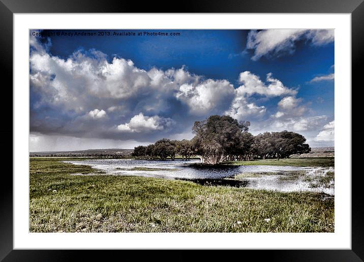 West Australia Bush Scene Framed Mounted Print by Andy Anderson