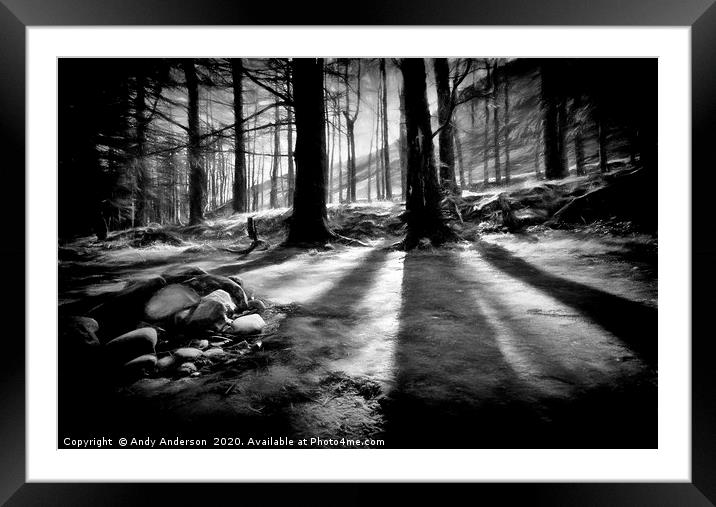 Mystery Scottish Grove Framed Mounted Print by Andy Anderson