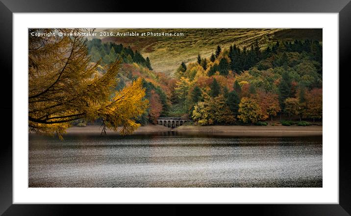 Autumn at Derwent Framed Mounted Print by nye whittaker