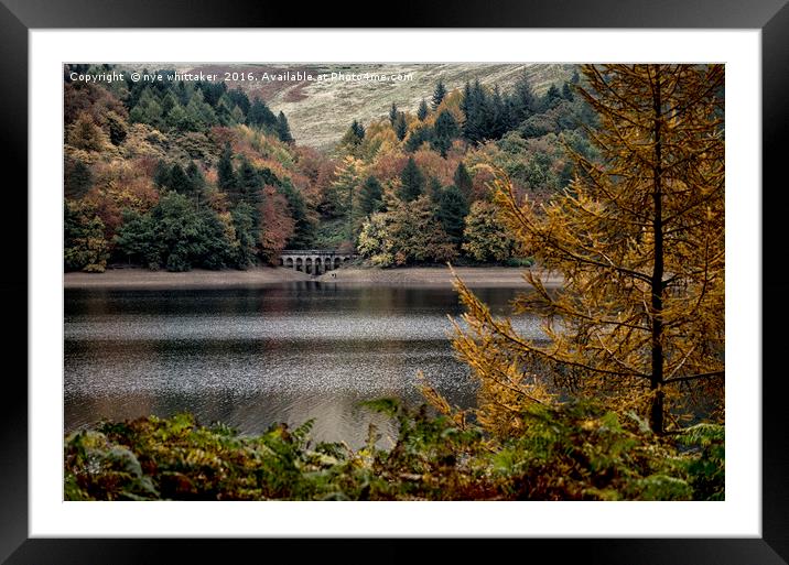 Autumn at Derwent Framed Mounted Print by nye whittaker