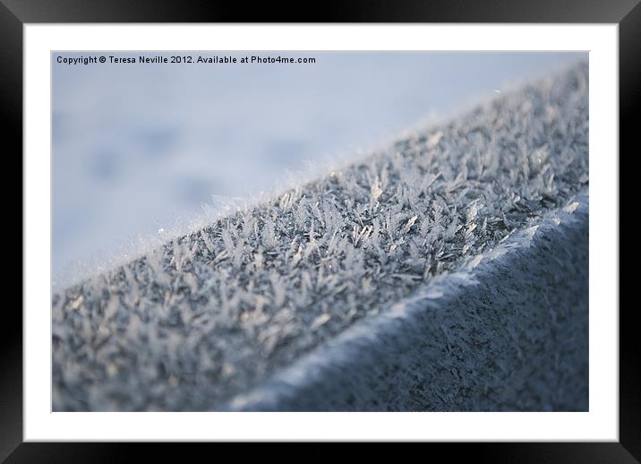 Ice crystals on fence Framed Mounted Print by Teresa Neville