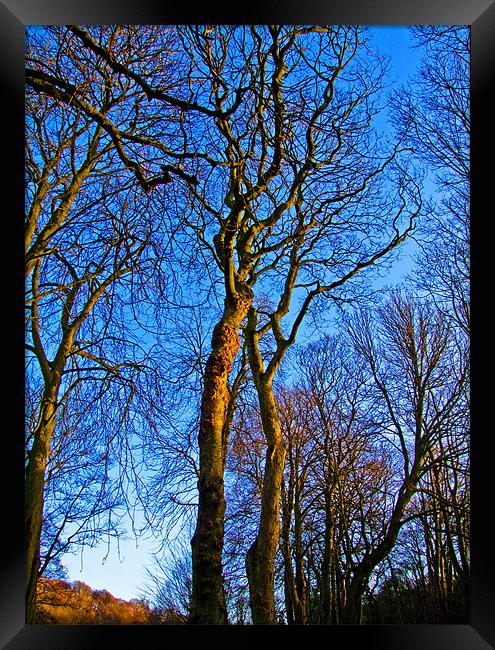 Blue Skys All the Way Framed Print by Gerry Mechan