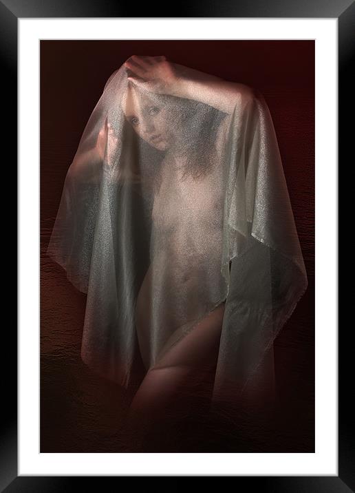 Cocoon Framed Mounted Print by Dennis Kilby