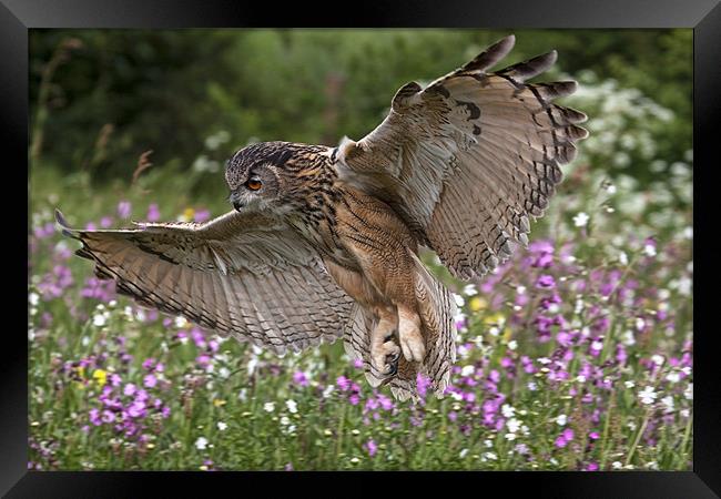 Landing Approach Framed Print by Val Saxby LRPS