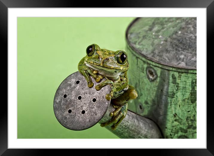 Time to water the garden Framed Mounted Print by Val Saxby LRPS