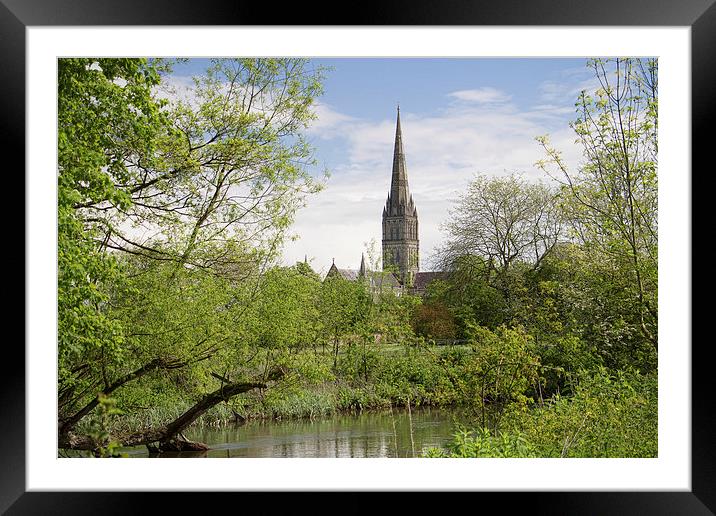Salisbury Cathedral Framed Mounted Print by Val Saxby LRPS