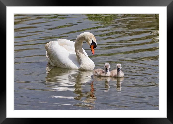  Proud Mama Framed Mounted Print by Val Saxby LRPS