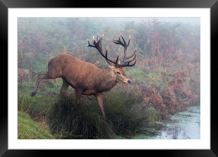  Crossing the stream Framed Mounted Print by Val Saxby LRPS