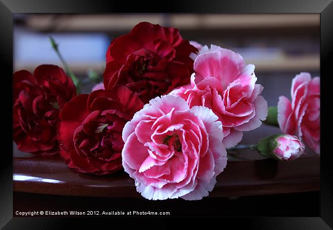 Red and Pink Carnations Framed Print by Elizabeth Wilson-Stephen