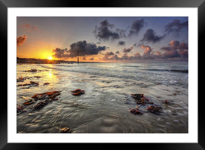 Avon Beach Sunrise Framed Mounted Print by Jennie Franklin