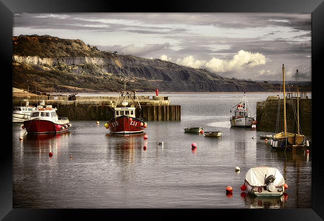 Lyme Regis Harbour Framed Print by Jennie Franklin