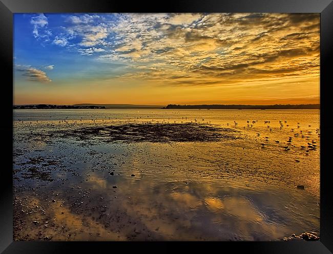 Birds and Brownsea Island Framed Print by Jennie Franklin