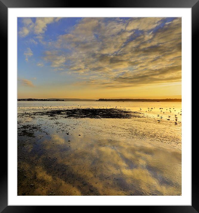 Reflections in the Sand at Poole Framed Mounted Print by Jennie Franklin