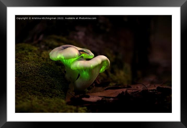Natures Glow Framed Mounted Print by Kristina Kitchingman