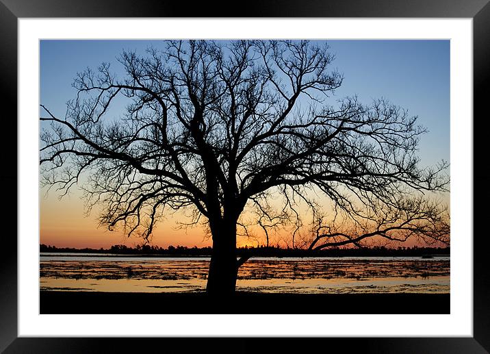 Sunset Silhoutte Framed Mounted Print by Kristina Kitchingman