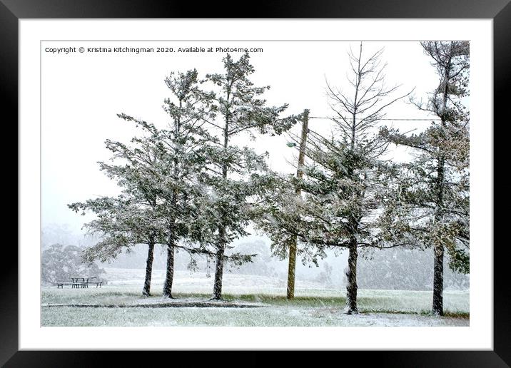 Snow Trees Framed Mounted Print by Kristina Kitchingman