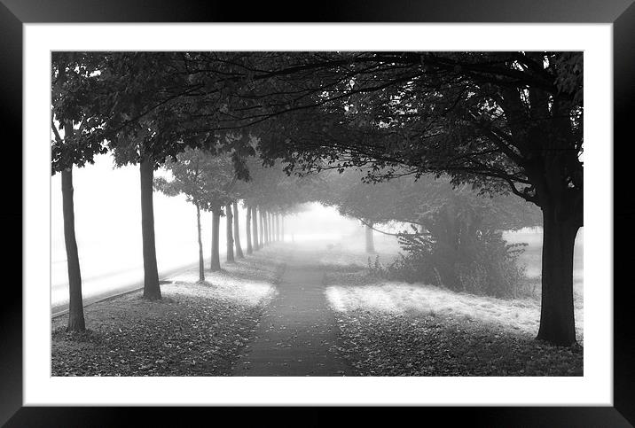 Dr Johnson's Avenue Framed Mounted Print by Brian Sharland