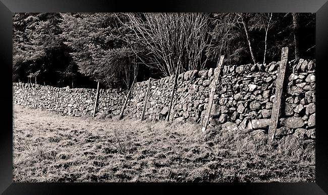 Welsh Dry Stone Wall Framed Print by Brian Sharland