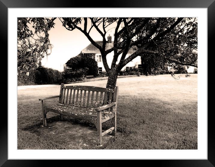 Bench On Cornish Village Green Framed Mounted Print by Brian Sharland