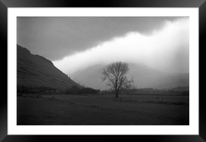 Bare Tree at Wastwater Head Framed Mounted Print by Brian Sharland