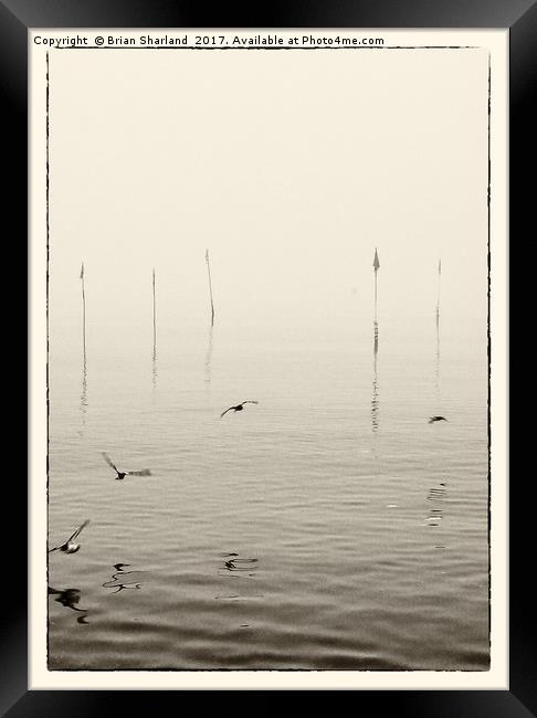 Sandpipers And Buoy Markers, Whitstable Framed Print by Brian Sharland