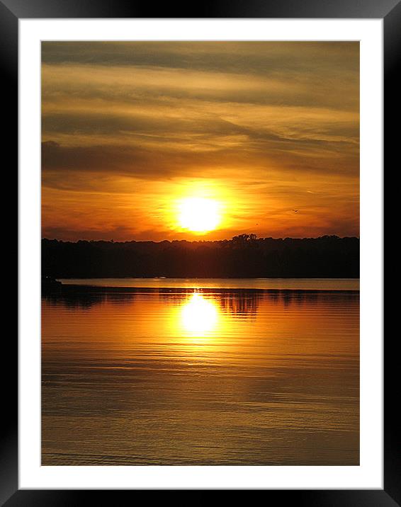Sunset in Washington D.C Framed Mounted Print by sean walters