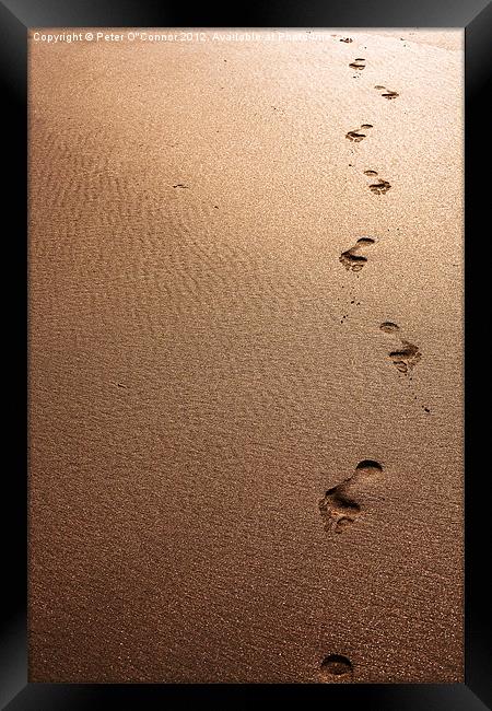 Footprints in the sand Framed Print by Canvas Landscape Peter O'Connor