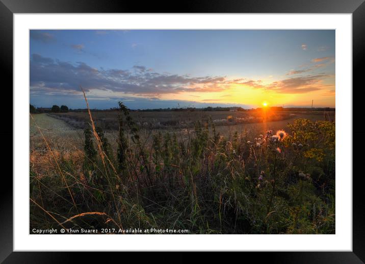 Farm Sunset Framed Mounted Print by Yhun Suarez