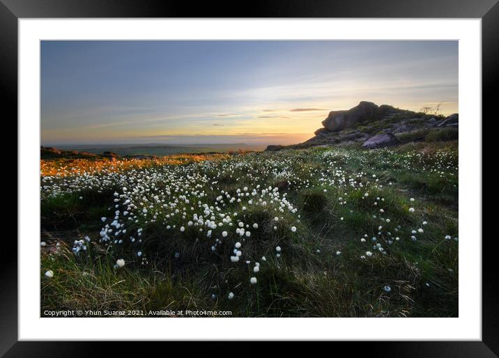 The Roaches 10.0 Framed Mounted Print by Yhun Suarez