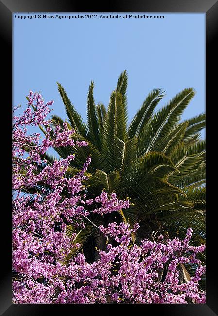 Spring view from Athens Framed Print by Alfani Photography
