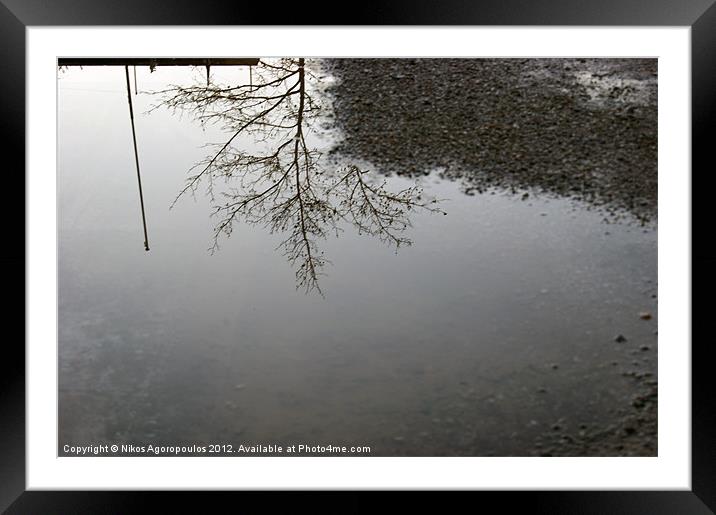 Tree silhouette reflection Framed Mounted Print by Alfani Photography
