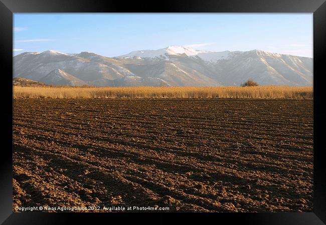 Fertility Framed Print by Alfani Photography