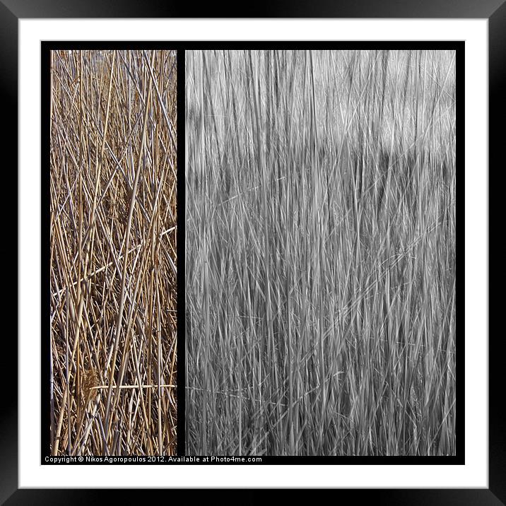 Reeds abstract 3 Framed Mounted Print by Alfani Photography