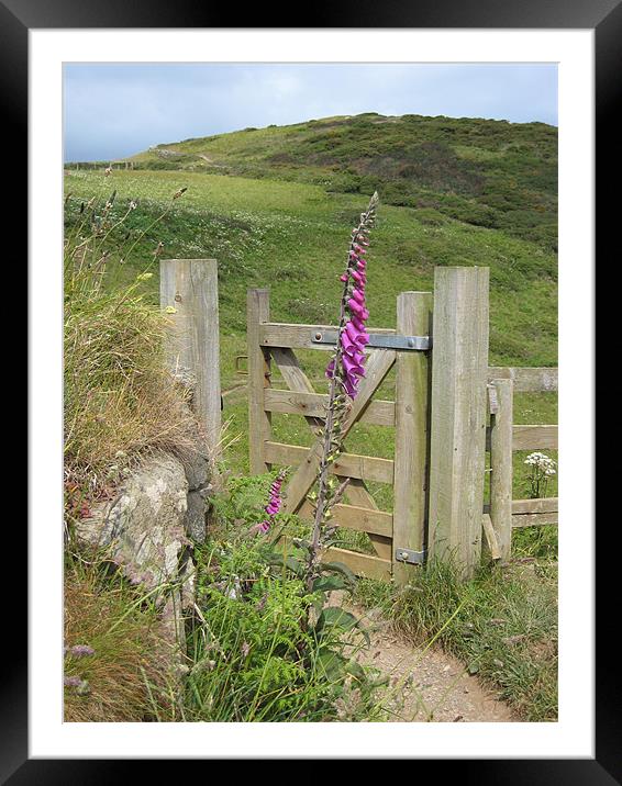 Foxglove Framed Mounted Print by Viktorija Brown