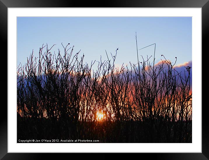 SUNRISE STICK SILHOUETTE Framed Mounted Print by Jon O'Hara