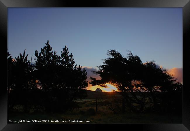 Sunrise tree silhouette Framed Print by Jon O'Hara