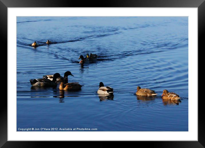 CALM LOCH OBSERVATIONS 12 Framed Mounted Print by Jon O'Hara