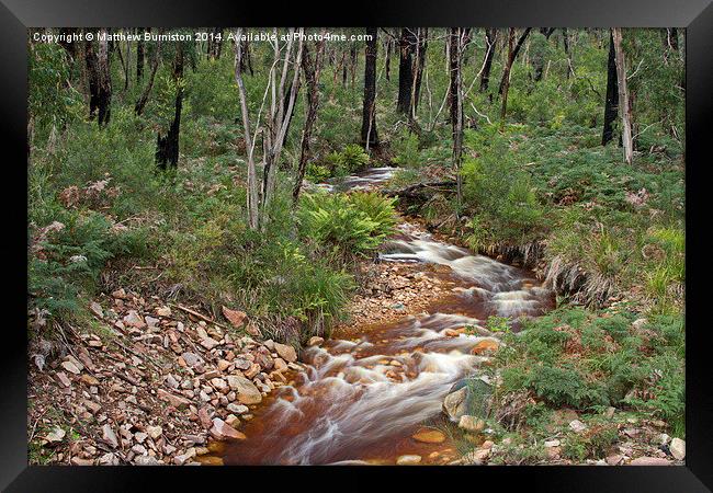  Peacefull stream flows through the aussie bush Framed Print by Matthew Burniston
