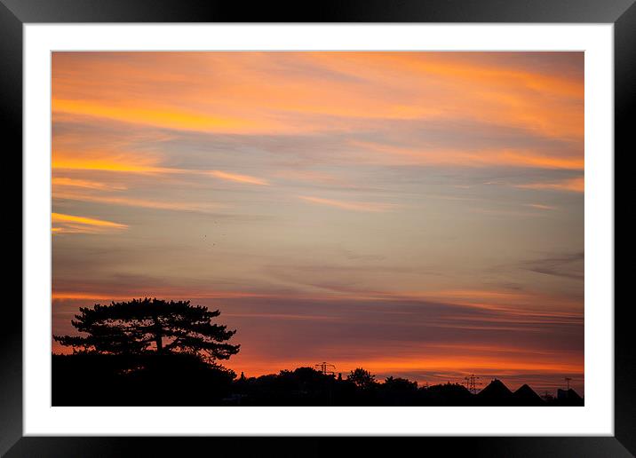 Sunset From My Window Framed Mounted Print by David Shackle