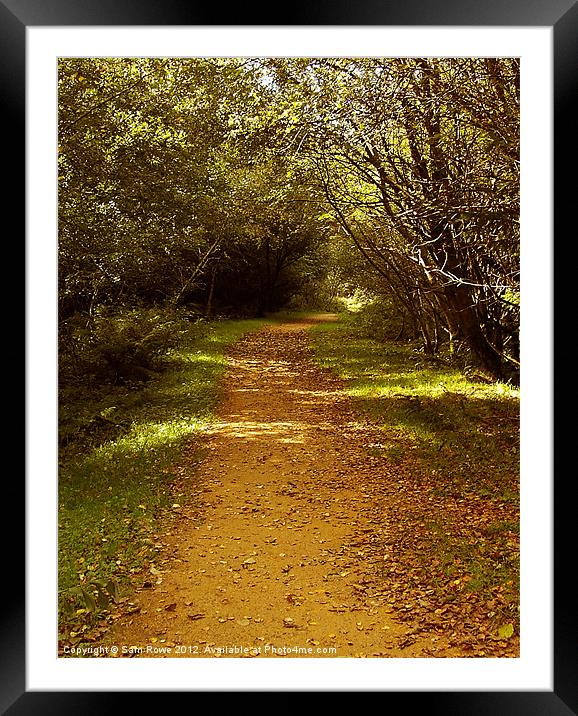Autum Path Framed Mounted Print by Sam Rowe