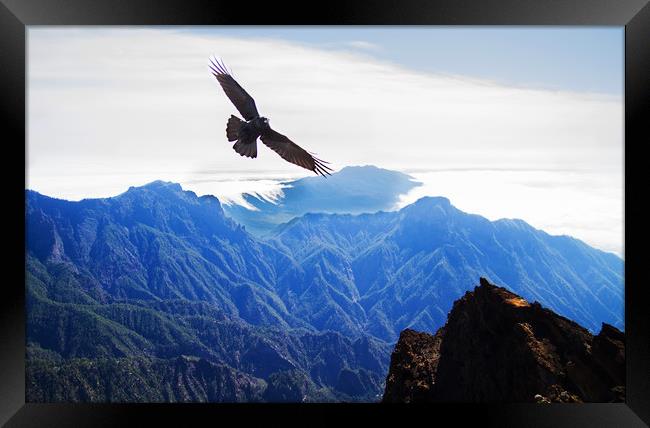 Crow over the mountains Framed Print by Keith Thorne