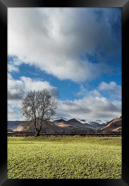 Two Pike Framed Print by Gary Finnigan