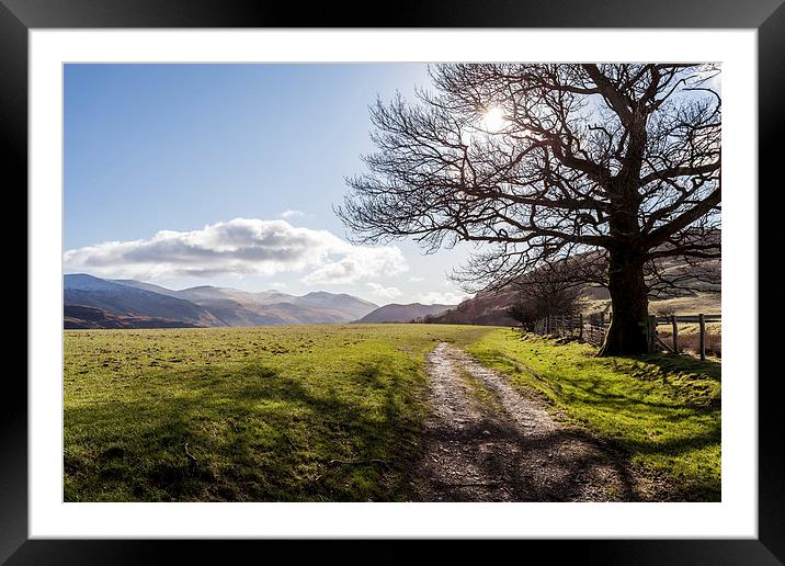 Shade Framed Mounted Print by Gary Finnigan