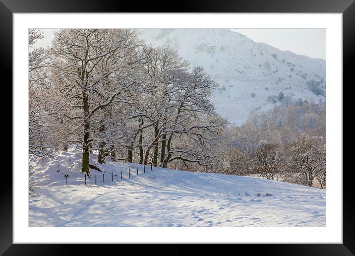 Sunshine snow Framed Mounted Print by Gary Finnigan