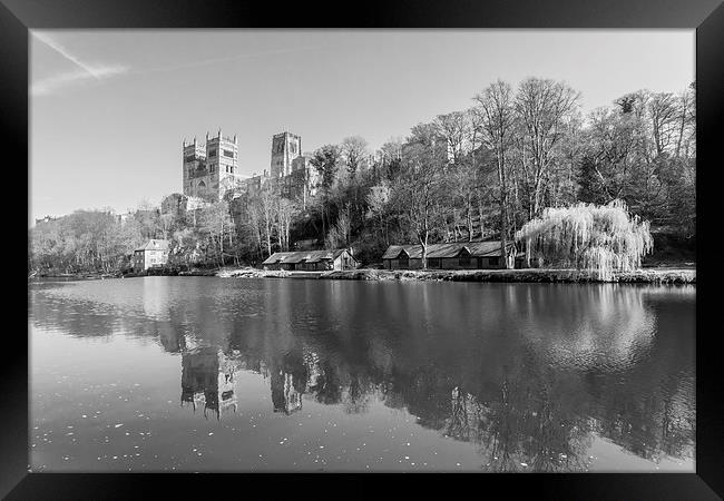 Willow Framed Print by Gary Finnigan