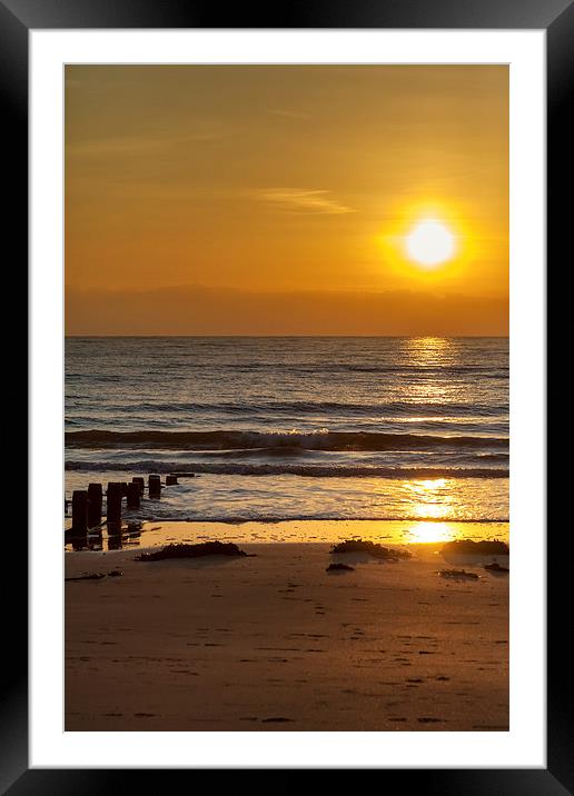 Lemon and chocolate Framed Mounted Print by Gary Finnigan