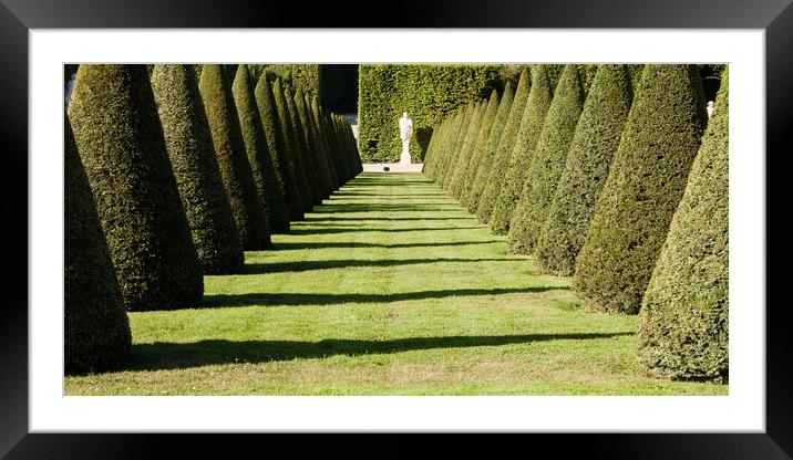 Versailles Framed Mounted Print by Gary Finnigan
